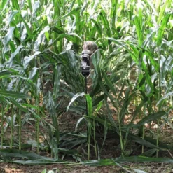 GhostBlind Predator Blind, Pop-Up Mirror Ground Hunting Blind 12 GhostBlind Predator Blind, Pop-Up Mirror Ground Hunting Blind -OUTSUNNY Sales GUEST 2e8e7d03 260e 44b3 bc39 dddf5adbff43