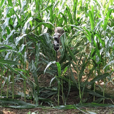 GhostBlind Predator Blind, Pop-Up Mirror Ground Hunting Blind 6 GhostBlind Predator Blind, Pop-Up Mirror Ground Hunting Blind - Image 4