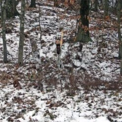 GhostBlind Predator Blind, Pop-Up Mirror Ground Hunting Blind 13 GhostBlind Predator Blind, Pop-Up Mirror Ground Hunting Blind -OUTSUNNY Sales GUEST 6ca15cef 00f2 4e99 9d16 b36c47e2bb34