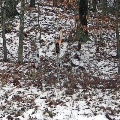 GhostBlind Predator Blind, Pop-Up Mirror Ground Hunting Blind 7 GhostBlind Predator Blind, Pop-Up Mirror Ground Hunting Blind - Image 5