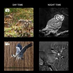 Hike Crew Tactical Gear Night Vision Binoculars W/Digital Camera -OUTSUNNY Sales GUEST 9468d110 859b 4422 af03 9efaa4241a99