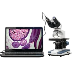 40X To 2500X Binocular Compound Microscope With Digital Camera And Interactive Software - AmScope -OUTSUNNY Sales GUEST bedec9d9 08af 41b6 b4ef 891315727fe5